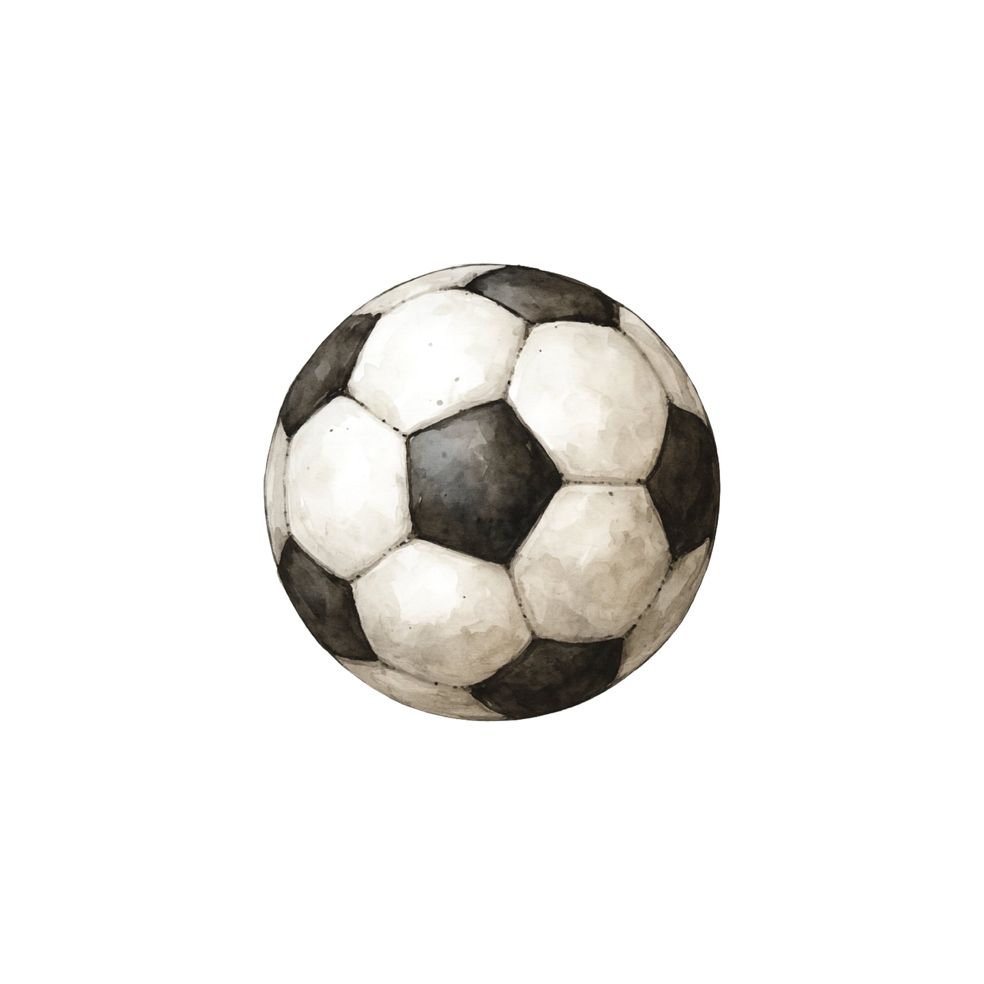 Northridge Soccer